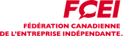 FCEI Logo