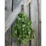 Birch Sauna Whisk