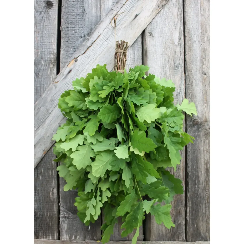 Oak Sauna Whisk