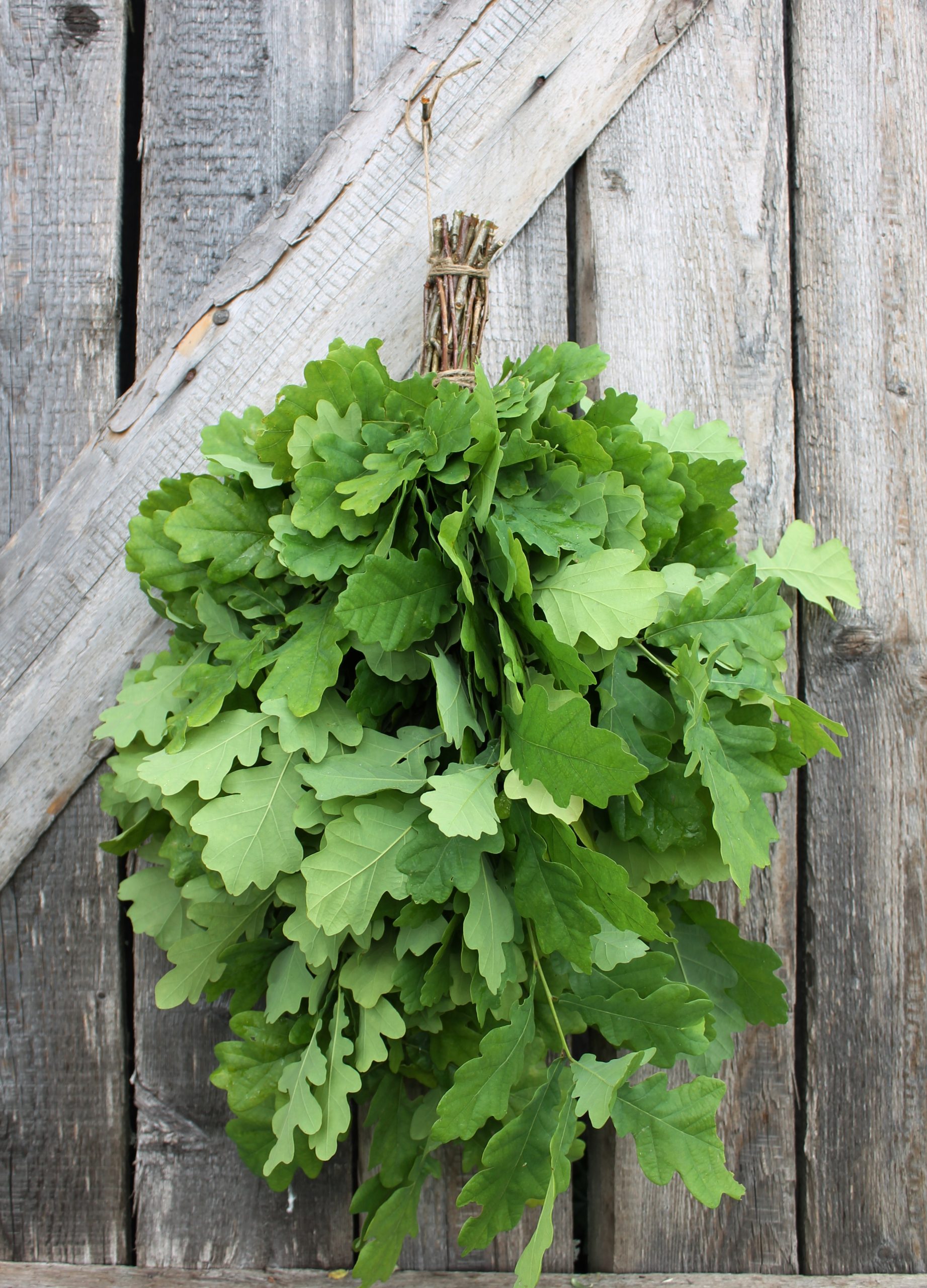 Fouet de Sauna en Chêne
