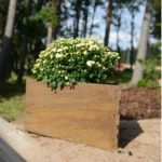Triholdy with flowers