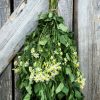 Birch + Camomile Sauna Whisk