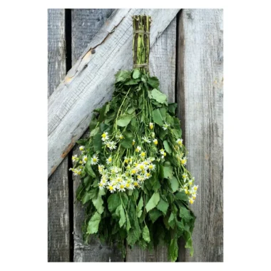 Birch Chamomile Sauna Whisk