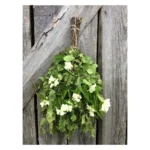Birch Jasmine Sauna Whisk