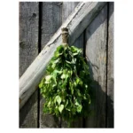 Birch Mint Sauna Whisk