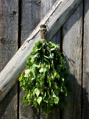 Fouet de Sauna Bouleau + Menthe