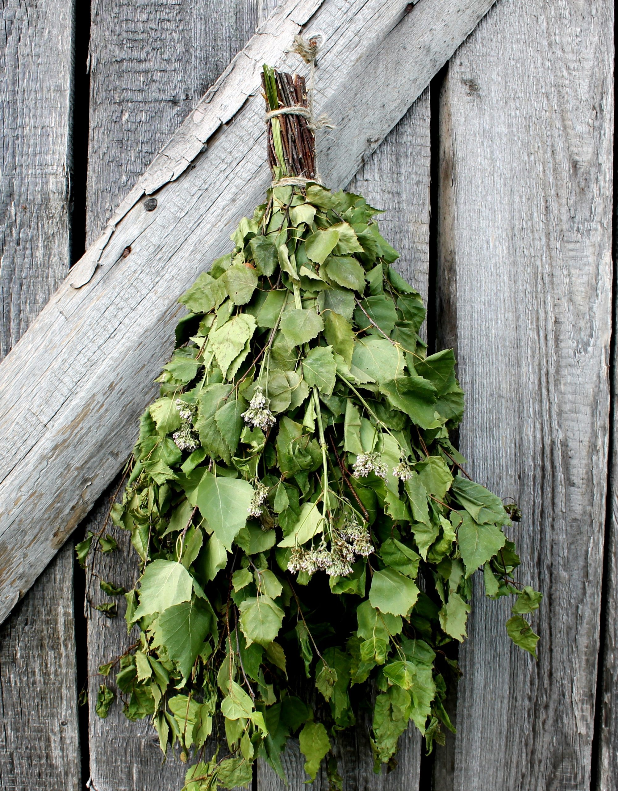 Birch + Valerian Sauna Whisk