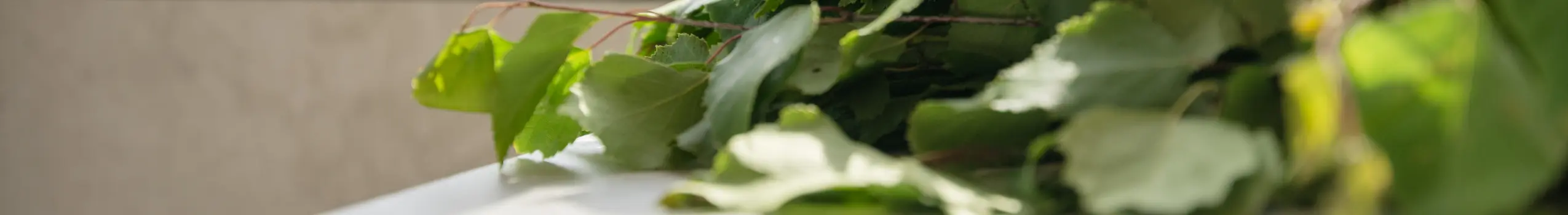 Herbs banner