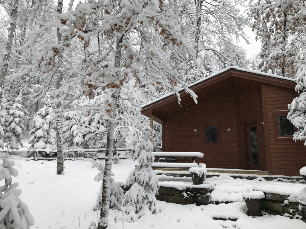 Outdoor cabin sauna surrounded by snow-covered trees